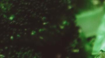 Pechuga de pollo es una fuente de proteína para mejorar la salud corporal