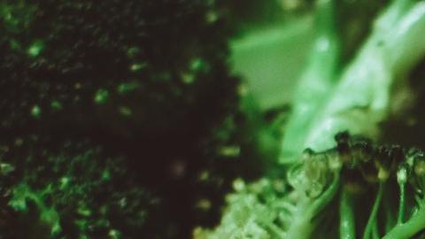 Pechuga de pollo es una fuente de proteína para mejorar la salud corporal
