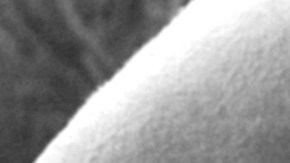 Pedro Infante y Vicente Fernández | Mezcalent.