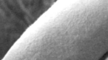 Pedro Infante y Vicente Fernández | Mezcalent.