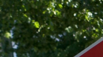 Perrita salvó a su familia en Iowa de una intoxicación por monóxido de carbono