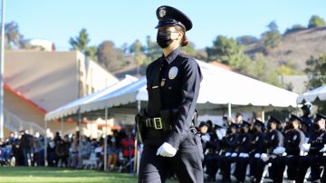 La propuesta de la senadora Skinner quiere diversificar las fuerzas policiacas en California. (Cortesía LAPD)