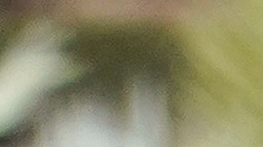 El presidente en uno de los acto de presentación de la Guardia Nacional