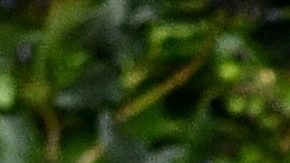 Victoria Beckham hace chiste sobre David Beckham y Romeo Beckham.