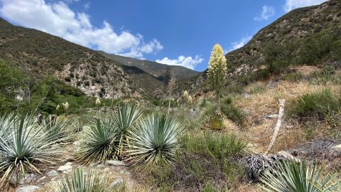 Montañas San Gabriel