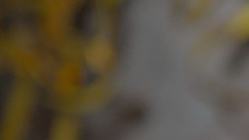 Año Nuevo: 10 tradiciones para recibir el 2022 de la mejor manera