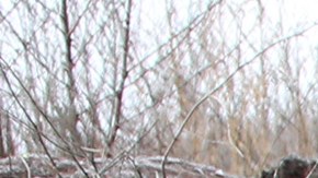 Soldados defienden a Ucrania