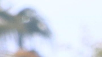 Estrenan nuevo canal de la cadena Univision: "Noticias Univision 24/7".