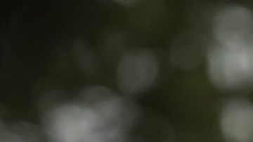 VIDEO Usuario de TikTok avergüenza viralmente a cliente que no pudo pagar el 20% de propina