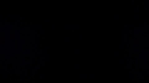 Vicente Fernandez