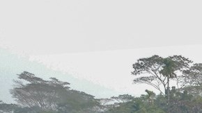 Incendio en ferry deja 41 muertos en Bangladesh.