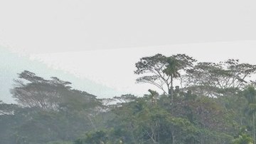 Incendio en ferry deja 41 muertos en Bangladesh.