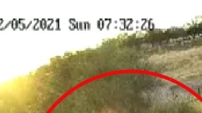 Sicarios del CJNG tras atacar a soldados mexicanos