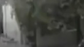 Hombre obliga a pedir perdón a ladrón frente a cámara durante 10 minutos.