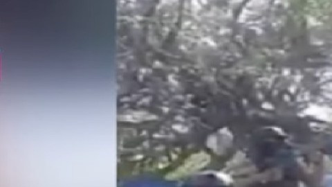 Video: Se burlan del Mencho, les dan piso y aparece la troca que usaron en clip.