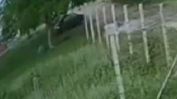 Video: Sicarios atacan a familia y les quitan la vida a adultos frente a niño