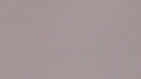 Xenobots: científicos inventan los primeros robots que se autorreproducen