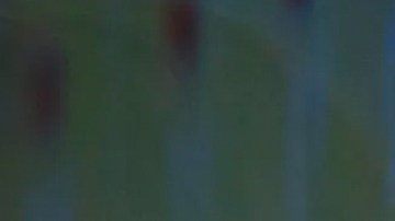 Angelique Boyer, la protagonista de 'Vencer el Pasado' de Univision