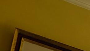 El árbol de Navidad y los objetos que se colocan en él tienen energía de alta o baja frecuencia.