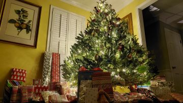 El árbol de Navidad y los objetos que se colocan en él tienen energía de alta o baja frecuencia.