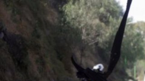 Ataque a penal en México