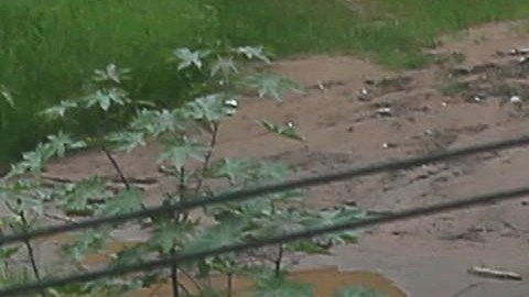 Lluvias y crecidas de ríos en Bolivia suma al menos ocho muertos y 1,667 familias damnificadas