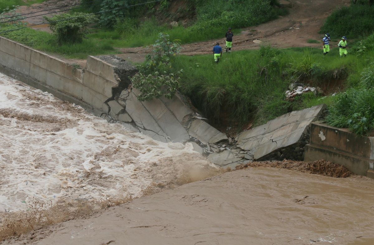 Rains and floods of rivers in Bolivia add at least eight deaths and 1,667 families affected