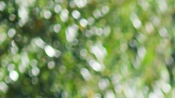 Año Nuevo 2022: por qué es tradición vestirse de blanco