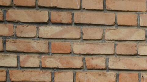 Mujer con un gato en Irán.