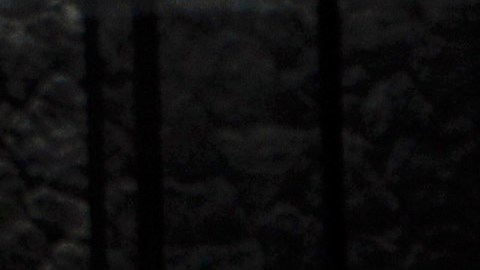 Conoce la lujosa mansión donde Silvia Pinal pasará el Año Nuevo tras salir del hospital