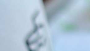 hamburguesa Shake Shak