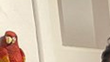 Elenco de Corona de Lágrimas regresa para grabar secuela.