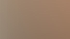 Daddy Yankee estuvo apoyando a Raphy Pina durante su juicio.