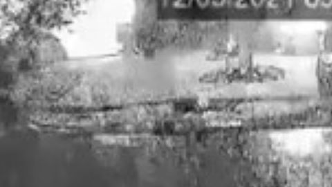 Captura del video.