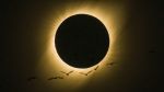 El eclipse solar del 4 de diciembre potencia las energías alegres y optimistas de Sagitario.