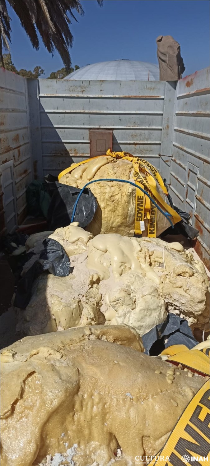 FOTOS: Encuentran restos de un mamut de hace más de 1,000 años en centro de México