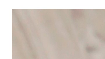 Jennifer Lawrence y Ariana Grande