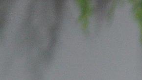 Covid-19: Biden enviará más de 500 pruebas gratuitas ante aumento de casos por Ómicron