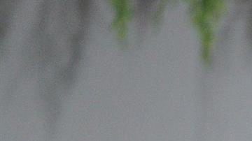 Covid-19: Biden enviará más de 500 pruebas gratuitas ante aumento de casos por Ómicron