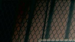 Foto de unas tablas de surf con la palabra Aloha