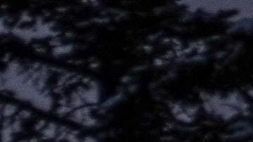 Así puede afectar la Luna llena fría de diciembre a cada signo del zodiaco