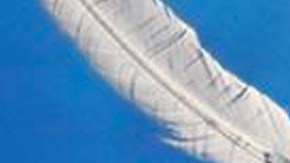 La telenovela turca 'Madre' ya está disponible en su totalidad por Pantaya.