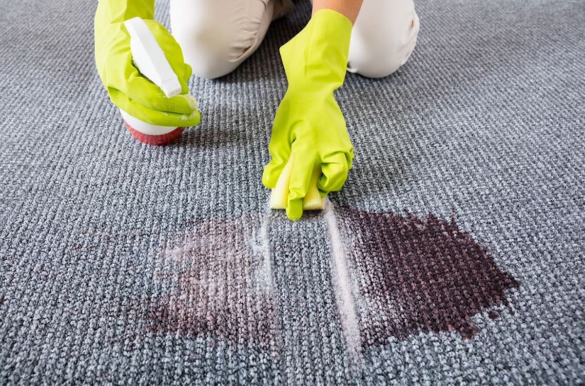 Remover las manchas de las alfombras ahora será una tarea fácil