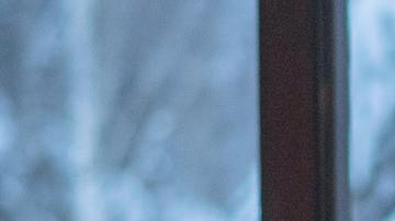 Sagitario es un signo de fuego que se siente cómodo en su elemento.