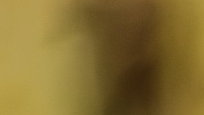 Image de archivo de un perrito.