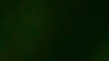 Trabajadores de Fred Meyer y Quality Food Centers ponen fin a la huelga-pexels-martin-lopez-1094323.jpeg