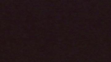 Foro de un conductor con las manos sobre el volante con el camino al fondo