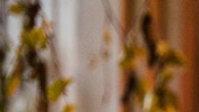 Hay cosas que hace únicas las navidades aquí en el país.