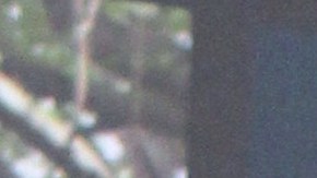 Vicente Fernández
