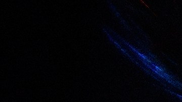 Qué fue lo más buscado por los estadounidenses durante 2021, según mapa de Google Trends